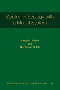 bokomslag Scaling in Ecology with a Model System