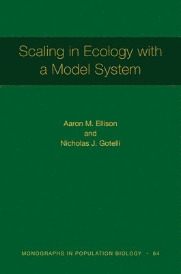 bokomslag Scaling in Ecology with a Model System