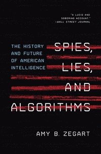 bokomslag Spies, Lies, and Algorithms