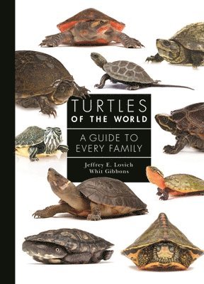 Turtles of the World 1