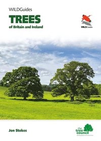 bokomslag Trees of Britain and Ireland
