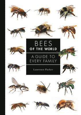 bokomslag Bees of the World