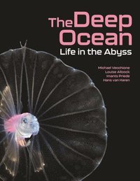 bokomslag The Deep Ocean