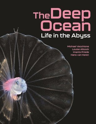 Michael Vecchione, Louise Allcock, Imants Priede, Hans van Haren - Deep Ocean, Inbunden