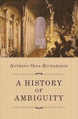 bokomslag History of Ambiguity