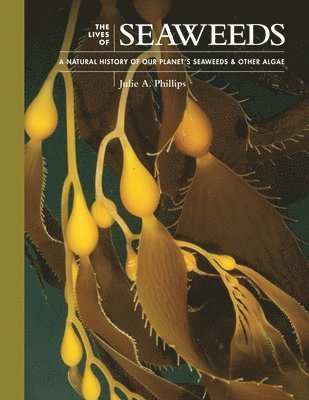 Julie A. Phillips - Lives of Seaweeds, Inbunden