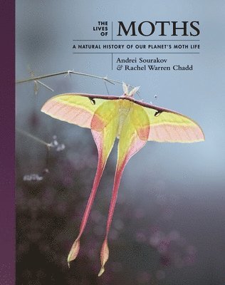 Andrei Sourakov, Rachel Warren Chadd - Lives of Moths, Inbunden