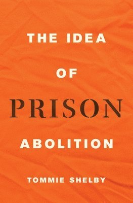 bokomslag The Idea of Prison Abolition