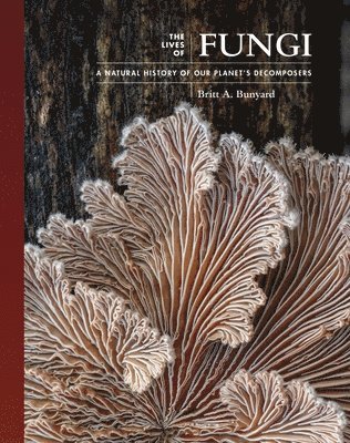 Britt A. Bunyard - Lives of Fungi, Inbunden