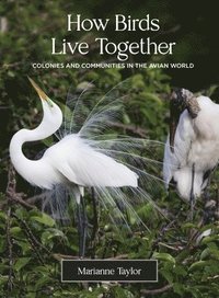 bokomslag How Birds Live Together