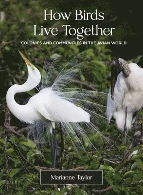 Marianne Taylor - How Birds Live Together, Inbunden