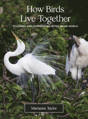How Birds Live Together 1