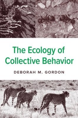 bokomslag Ecology of Collective Behavior