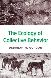 bokomslag The Ecology of Collective Behavior