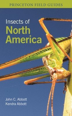 bokomslag Insects of North America