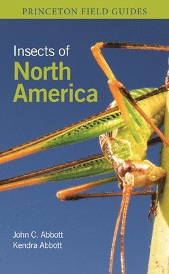 Insects of North America 1