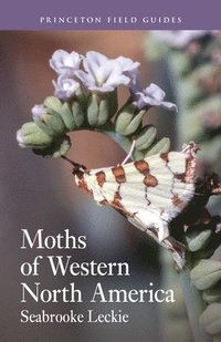 bokomslag Moths of Western North America