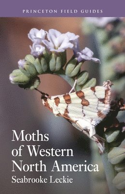 Moths of Western North America 1