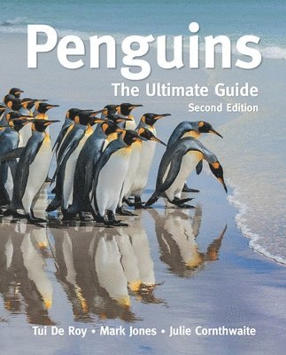 bokomslag Penguins