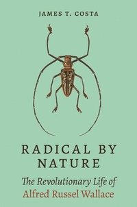 bokomslag Radical by Nature