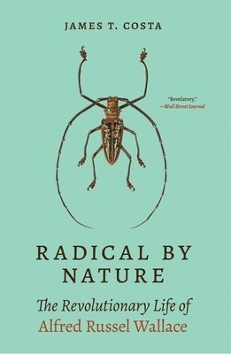 Radical by Nature 1