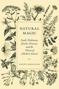 bokomslag Natural Magic