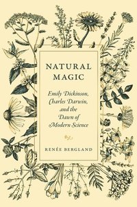 bokomslag Natural Magic