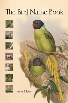 The Bird Name Book 1