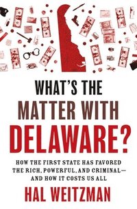 bokomslag Whats the Matter with Delaware?
