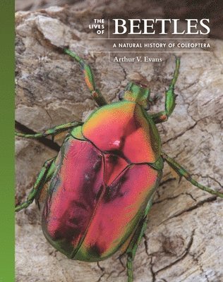 Arthur V. Evans - Lives of Beetles, Inbunden