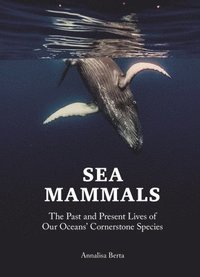 bokomslag Sea Mammals