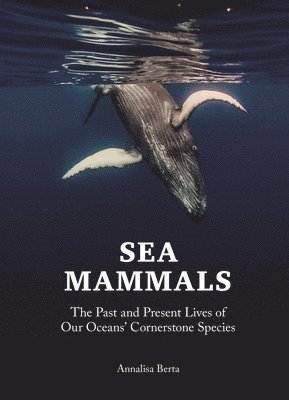 Sea Mammals 1