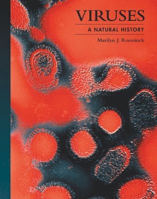 Marilyn J. Roossinck, Dr. Marilyn J. (Professor Emeritus) Roossinck, Marilyn J Roossinck - Viruses, Inbunden