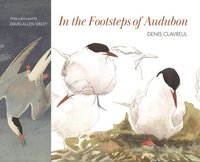 bokomslag In the Footsteps of Audubon