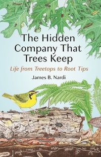 bokomslag The Hidden Company That Trees Keep