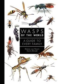 bokomslag Wasps of the World