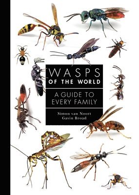 Wasps of the World 1