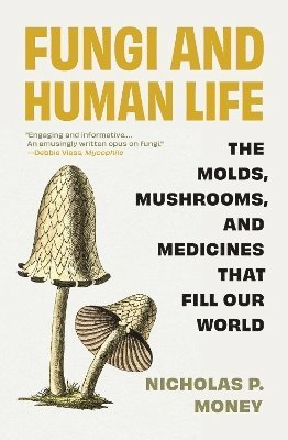 bokomslag Fungi and Human Life