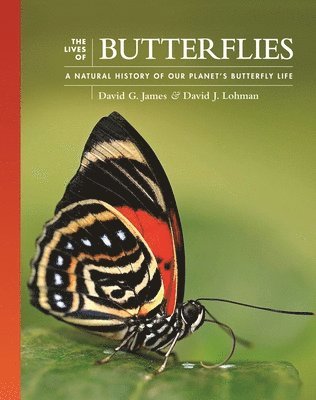 David G. James, David J. Lohman, Dr David J. (Associate Professor) Lohman - Lives of Butterflies, Inbunden