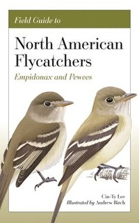 bokomslag Field Guide to North American Flycatchers