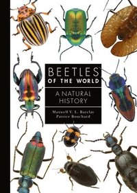 bokomslag Beetles of the World