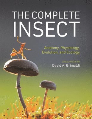 The Complete Insect 1