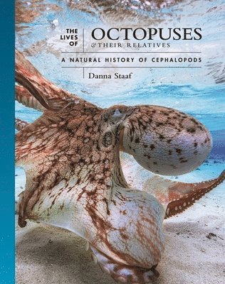 Danna Staaf - Lives of Octopuses and Their Relatives, Inbunden