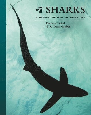 Daniel C. Abel, R. Dean Grubbs - Lives of Sharks, Inbunden