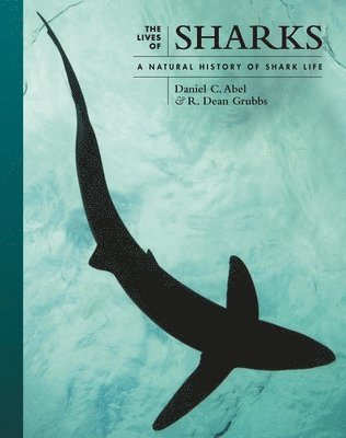 The Lives of Sharks 1