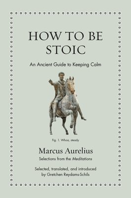 Marcus Aurelius, Gretchen Reydams-Schils - How to Be Stoic, Inbunden