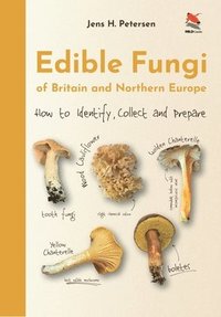 bokomslag Edible Fungi of Britain and Northern Europe