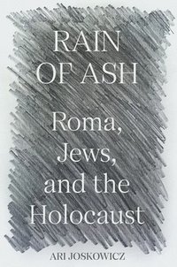 bokomslag Rain of Ash