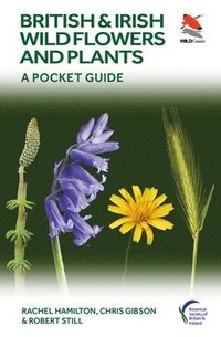 bokomslag British and Irish Wild Flowers and Plants
