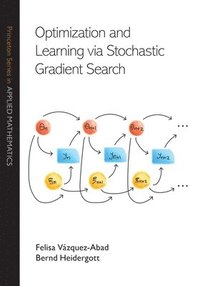 bokomslag Optimization and Learning via Stochastic Gradient Search